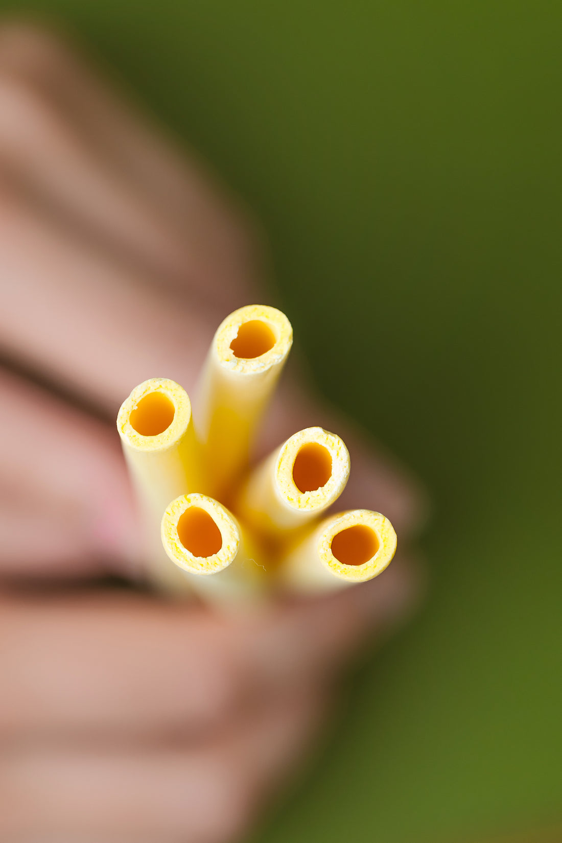 Valgomi šiaudeliai, TROPINIŲ VAISIŲ skonio (10 vnt.)